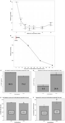 Screening Novel Molecular Targets of Metformin in Breast Cancer by Proteomic Approach